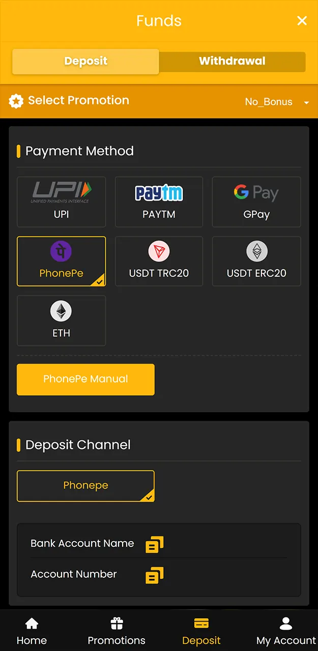 Use local payment methods to deposit money into your betting account on Sky247.