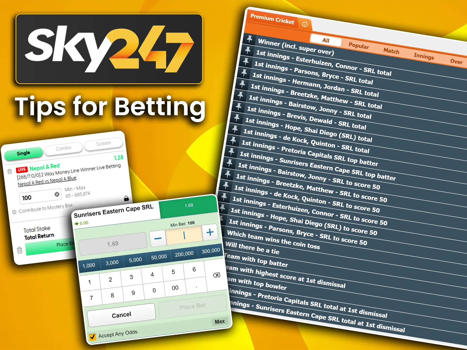Find out how to win at cricket betting on Sky247.